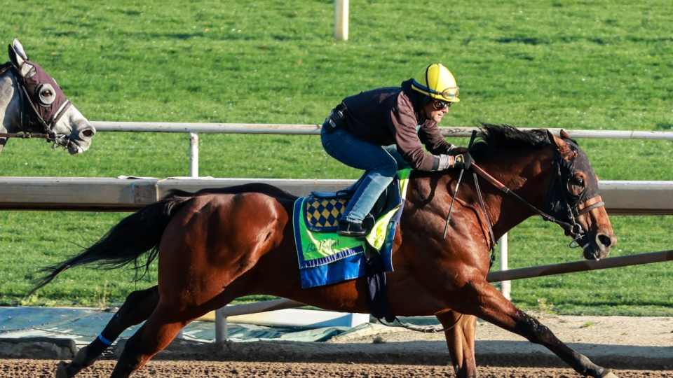 过巨资引进 过巨资引进